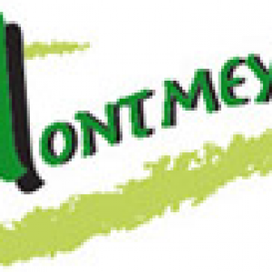 logo montmeyran