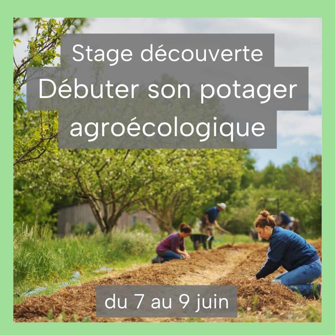 FeaturedImage 1711098791