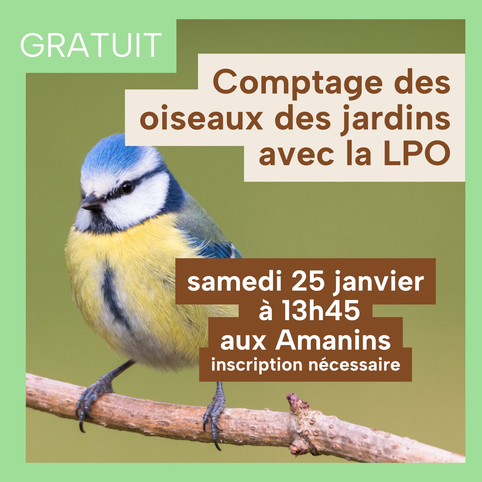 FeaturedImage 1735655155