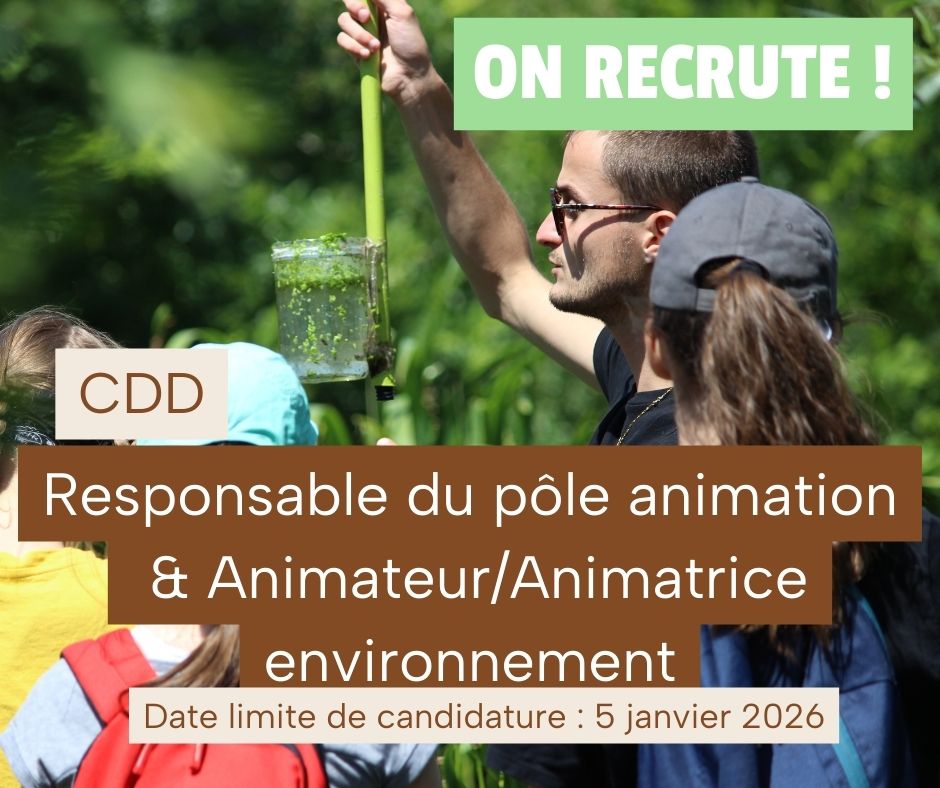 FeaturedImage 1763731661