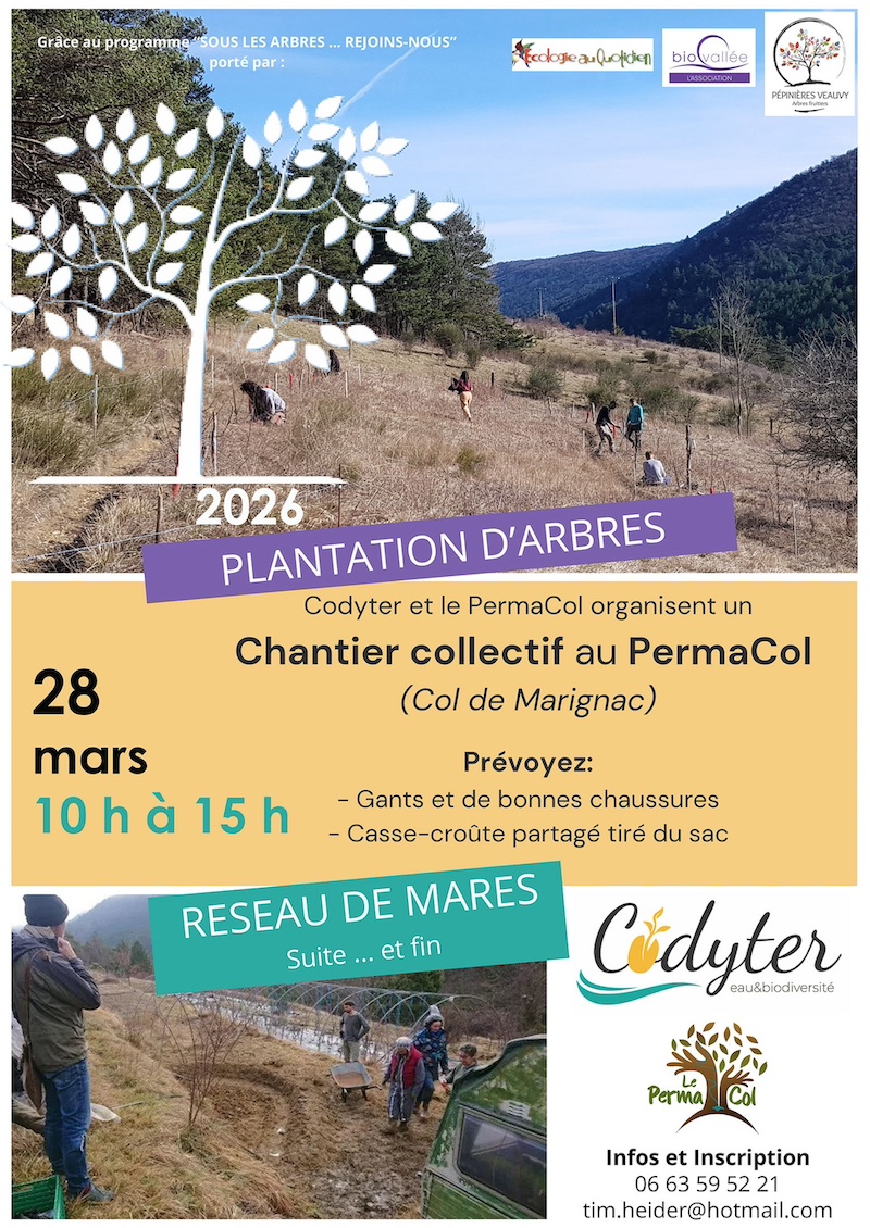 FeaturedImage 1773256406