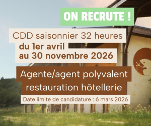 FeaturedImage 1766069551