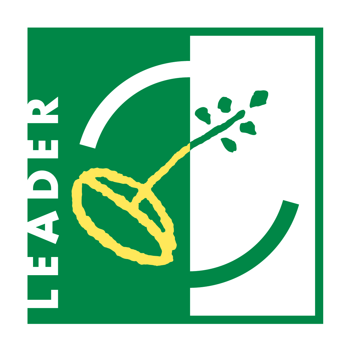 4 Logo LEADER